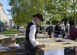 DSC5596 DSC5596