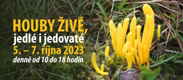 Houby živé, jedlé i jedovaté - výstava