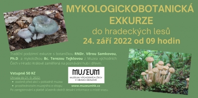 Mykologickobotanická exkurze do hradeckých lesů