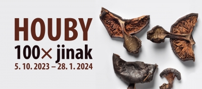 Houby 100x jinak - výstava